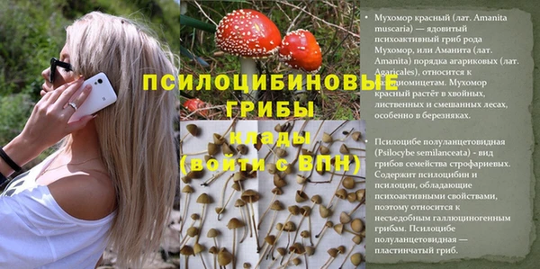 бутик Белокуриха