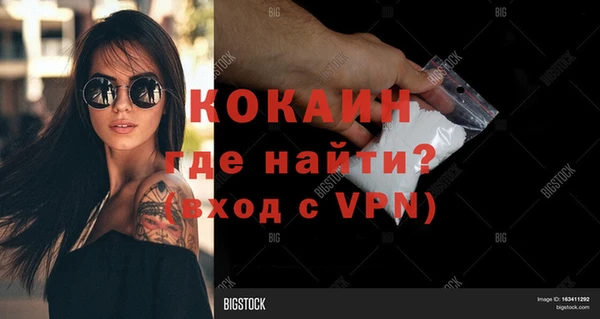 mdpv Богородицк