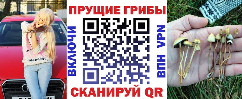 Галлюциногенные грибы мицелий Волчанск
